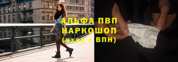 сатива Володарск