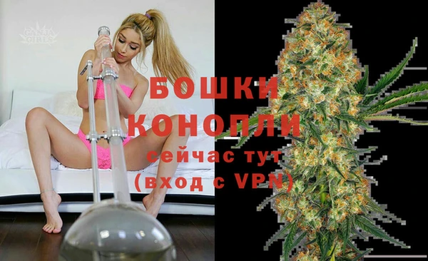сатива Володарск