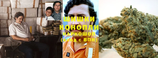 дживик Волоколамск